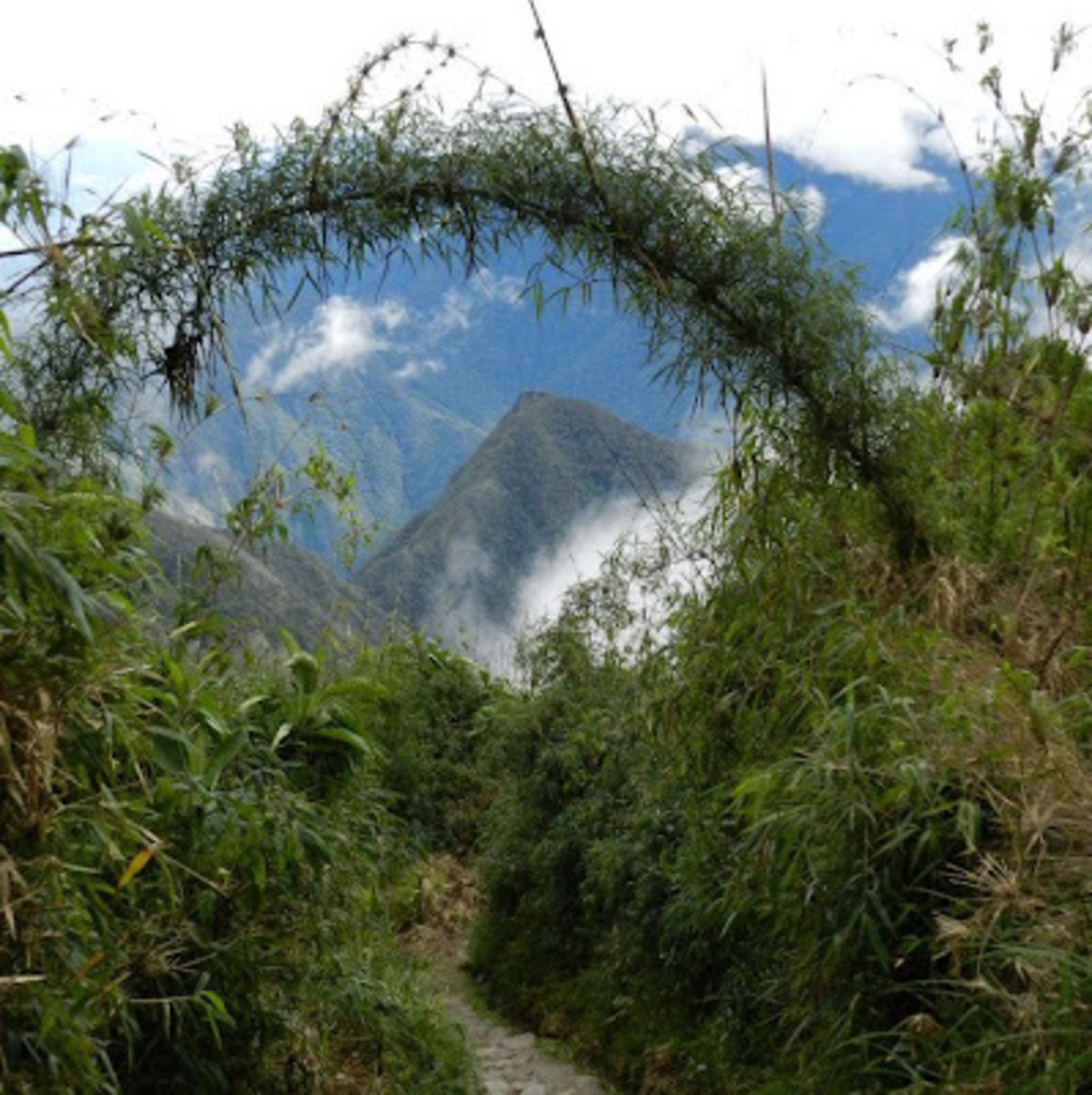 Meet your Posher, Christine